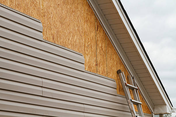 Professional Siding Repair technician working in Newton, TX